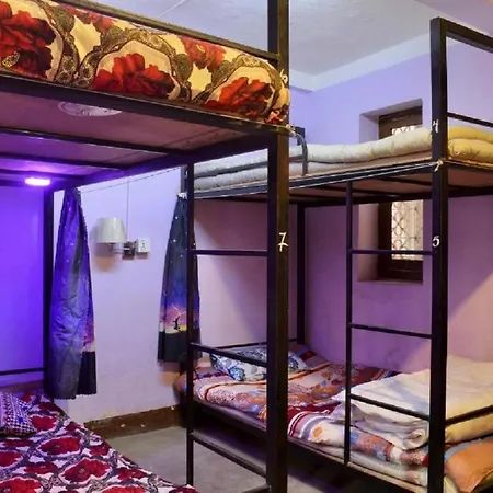 Happy Donkey Hostel-3