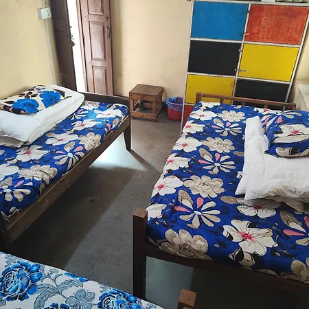 Happy Donkey Hostel-3